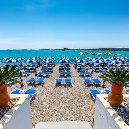 Nada *** Daire Medulin